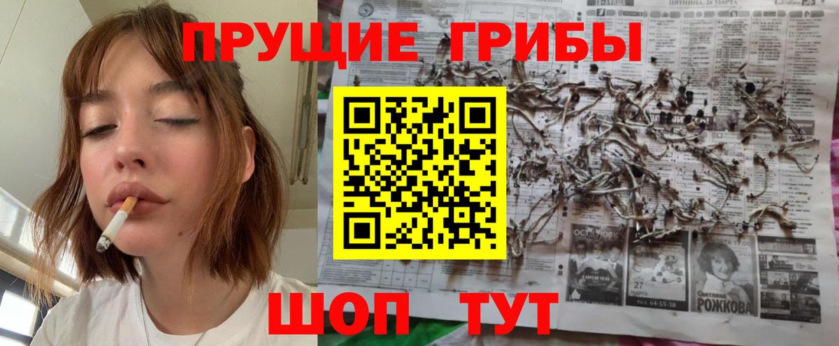 даркнет сайт  Галлюциногенные грибы мицелий  Волжский  Вход с VPN  Псилоцибиновые грибы Cubensis 
